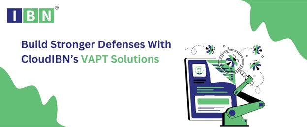 VAPT Service Provider
