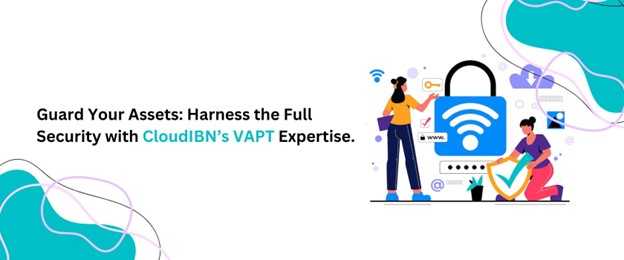 VAPt Services info