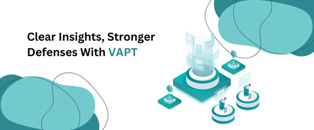 vapt testing services info